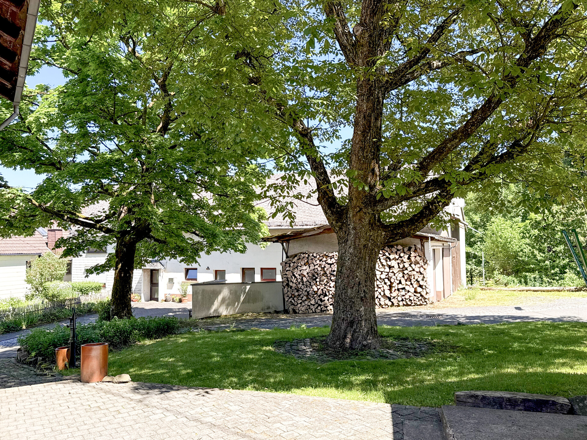 Grünfläche am Haus