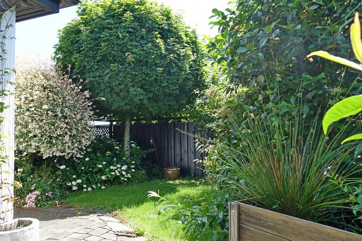 Garten vorne