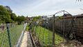 Garten 2
