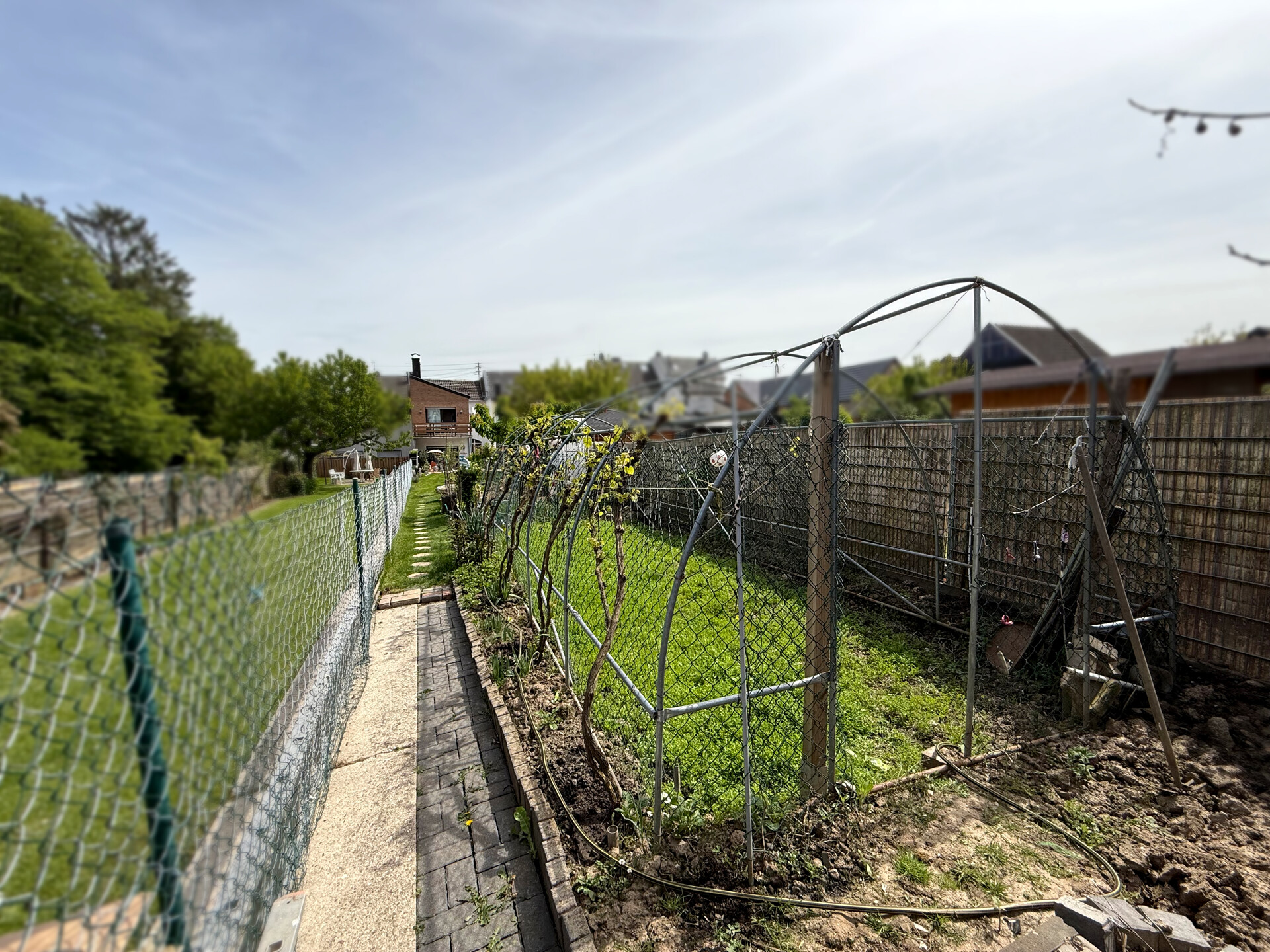 Garten 2