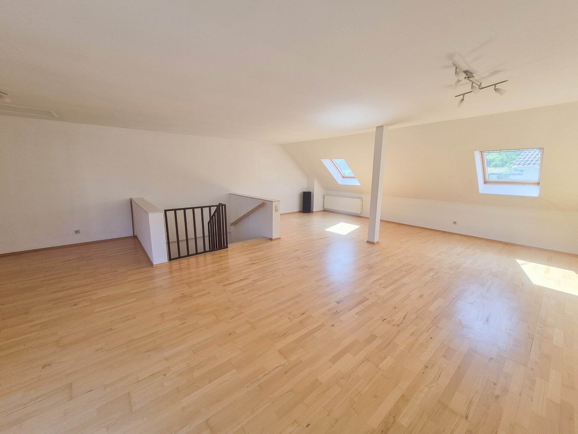 Studio (DG)