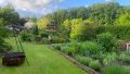 Blick in den Garten