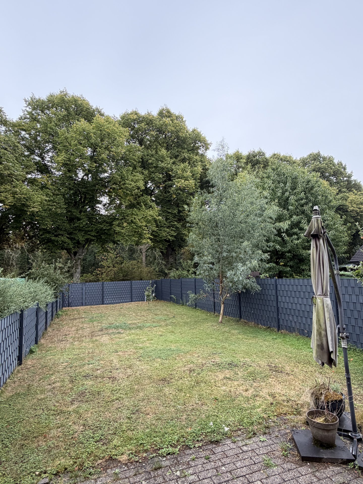 Pflegeleichter Garten