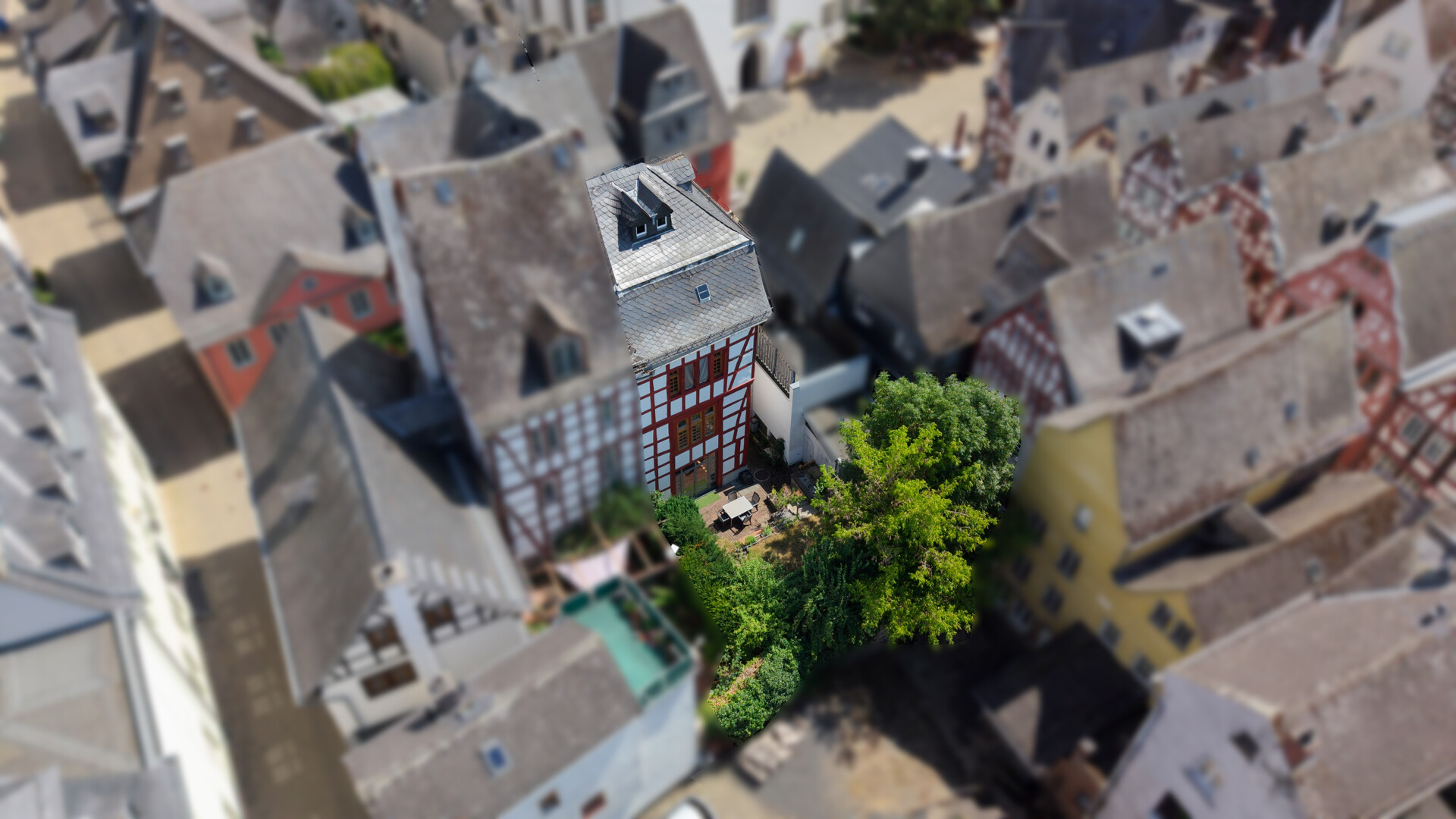 Rückansicht-Garten