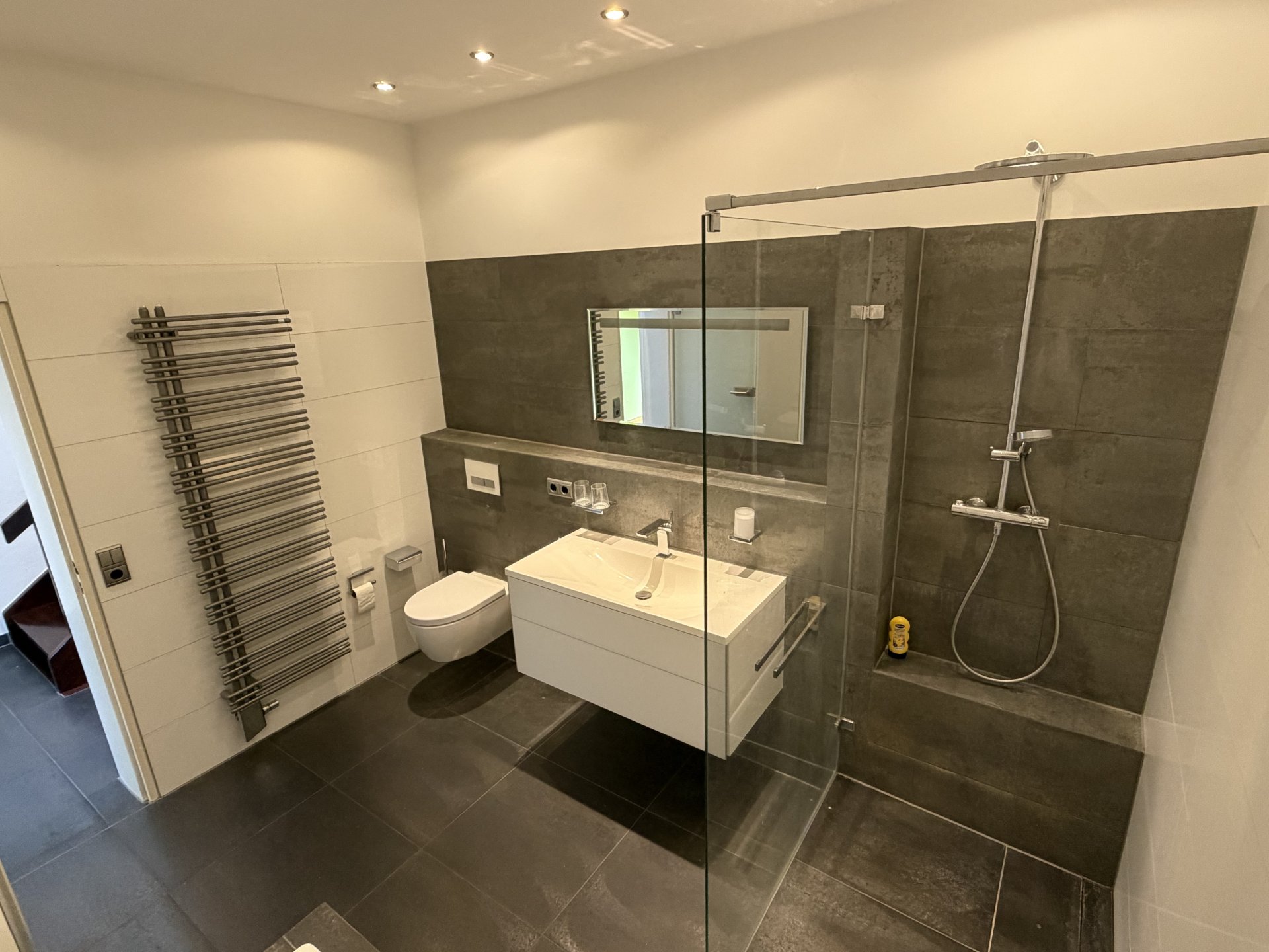 ...und Dusche & Handtuchheizkörper