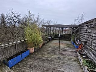 Dachgarten