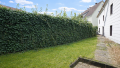 Rückseitiger Garten