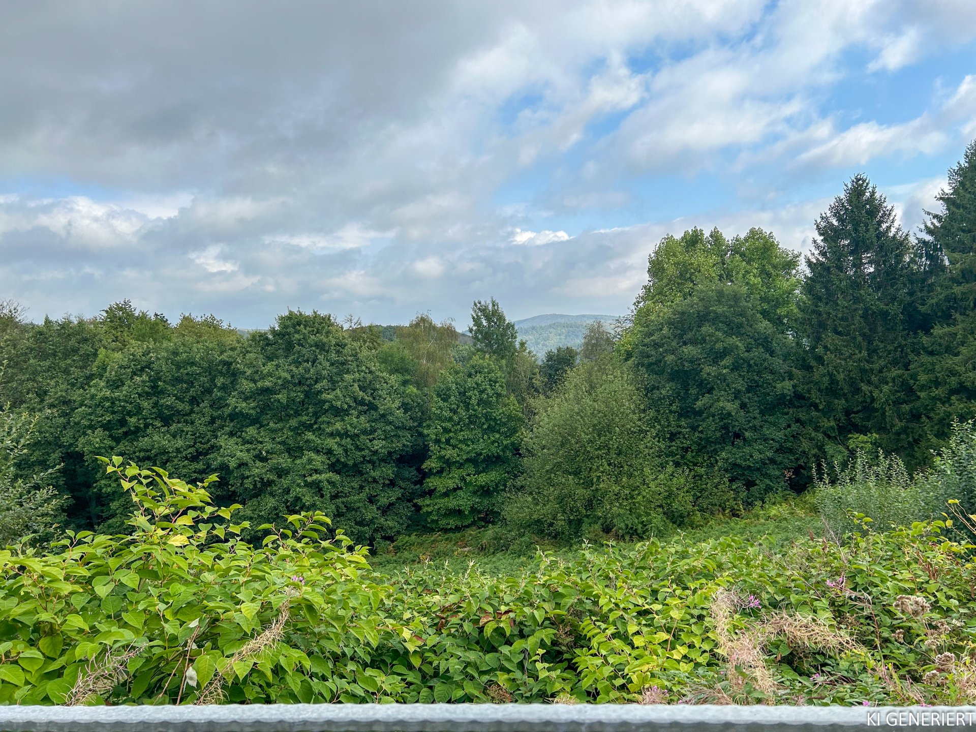 Grüner Ausblick von der Terrasse