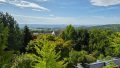 Fernblick