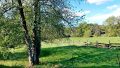 Natur pur!
