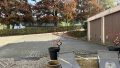Terrasse Wohnung KG und Bereich hinter dem Haus